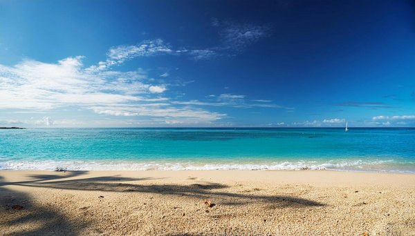 Comment Trouver l'Office de Tourisme Idéal : Votre Guide Incontournable !