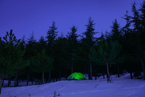 Découvrez Comment Allumer un Feu de Camp en Toute Sécurité : Guide Pratique et Astuces Essentielles